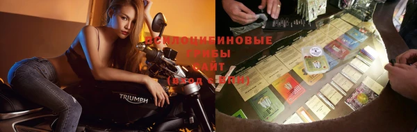 стафф Балахна