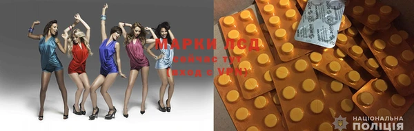ГАЛЛЮЦИНОГЕННЫЕ ГРИБЫ Баксан