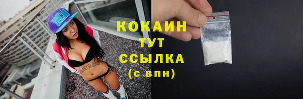 твердый Арсеньев