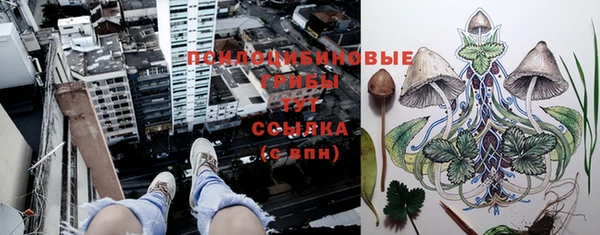 твердый Арсеньев