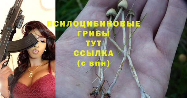 твердый Арсеньев
