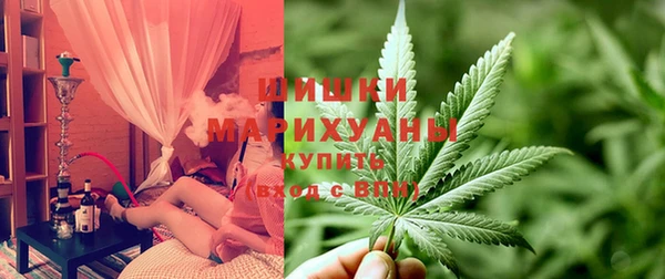 ГАЛЛЮЦИНОГЕННЫЕ ГРИБЫ Баксан