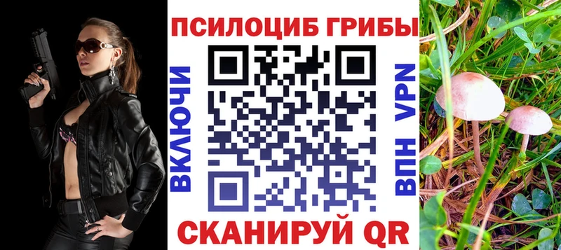 Купить закладки  Бородино  Галлюциногенные грибы прущие грибы 