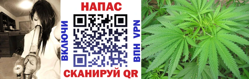 Купить  Бородино  Шишки марихуана THC 21% 